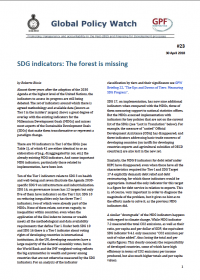Cover SDG indicators: The forest is missing EN