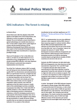 Cover SDG indicators: The forest is missing EN